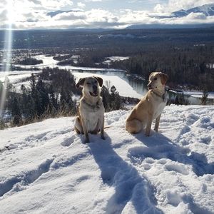 Meet your Posher, Kristi